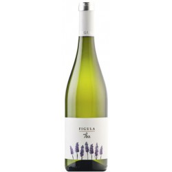 Figula 7ha 2023 - Balatonfüred-csopaki borvidék, magyar fehérborok | selection.hu