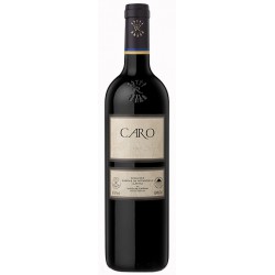 Lafite Rothschild-Bodegas Caro Caro 2019