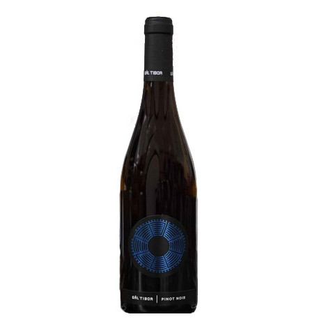 Gál Tibor Egri Pinot Noir 2019 - Egri borvidék, magyar vörösborok | selection.hu