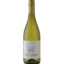 Béla és Bandi Zöld Veltelini 2025 - Balatonfüred-csopaki borvidék, magyar fehérborok | selection.hu