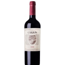 Bodega Garzon Reserva Tannat 2022