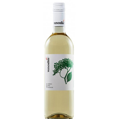 Vincellér Zöld veltelini 2024 - Selection.hu