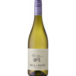 Béla és Bandi Pinot Gris 2024 - Balatonfüred-csopaki borvidék, magyar fehérborok | selection.hu