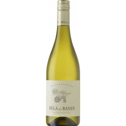 Béla és Bandi Sauvignon Blanc 2024 - Balatonfüred-csopaki borvidék, magyar fehérborok | selection.hu