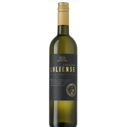 Konyári Loliense Fehér 2024 - Selection.hu