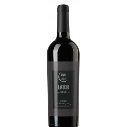 Maul Zsolt Lator 2021 - selection.hu