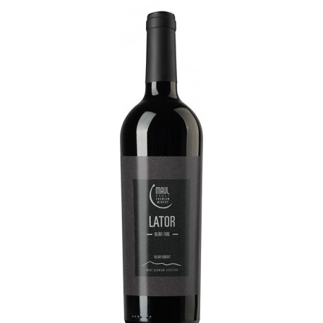 Maul Zsolt Lator 2021 - selection.hu