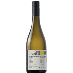 Haraszthy Clone Sauvignon blanc 2022 - selection.hu