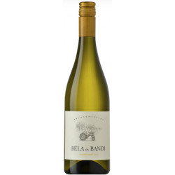 Béla és Bandi Chardonnay 2023 - Balatonfüred-csopaki borvidék, magyar fehérborok | selection.hu