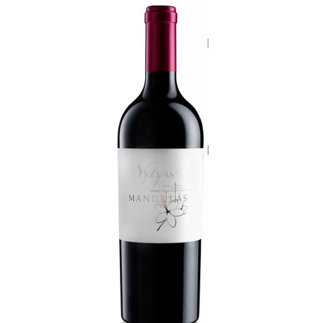 Vylyan Mandolás (Cabernet franc válogatás) 2021 - Selection.hu