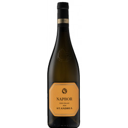 St. Andrea Napbor Egri csillag 2024 - Selection.hu