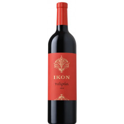 Ikon Tulipán 2020 - Selection.hu