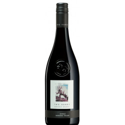 Two hands Gnarly Dudes Barossa Shiraz 2020