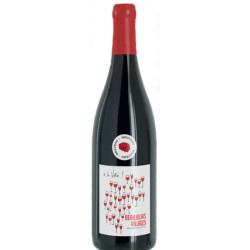 Jean-Michel Dupré Beaujolais Villages Nouveau 2025 - selection.hu