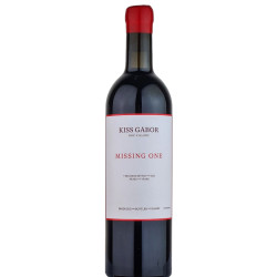 Kiss Gábor Missing One 2020 - Selection.hu
