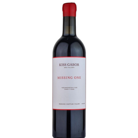 Kiss Gábor Missing One 2020 - Selection.hu