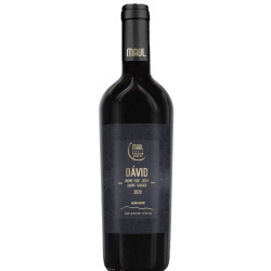 Maul Zsolt Dávid 2020 - selection.hu