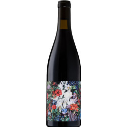 Hoffmann's Syrah 2024 - selection.hu